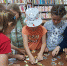 Квест-игра "Литературный экспресс". - Культурно-досуговый центр Комсомолец