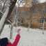 День зимующих птиц в Токарёвском СДК. - Культурно-досуговый центр Комсомолец